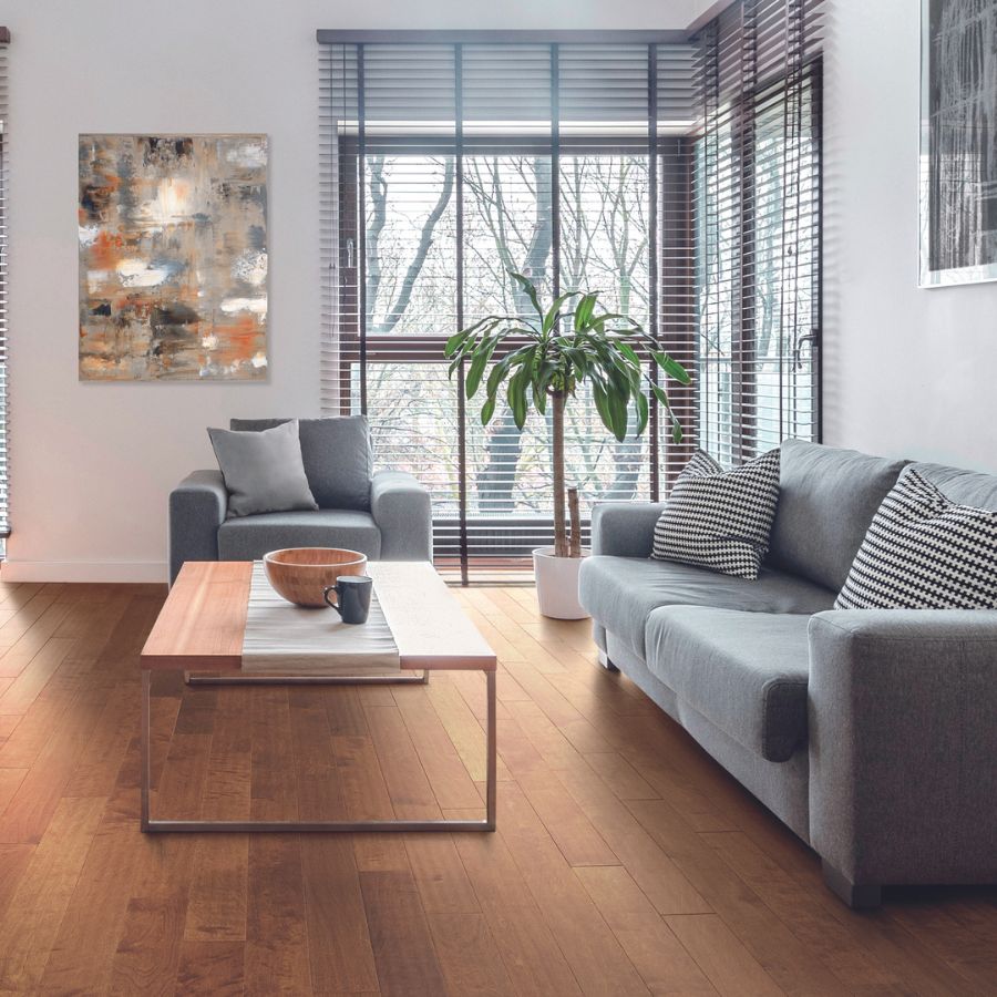 Window treatments in a living room